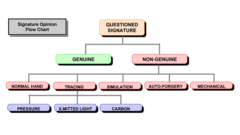 Forgery Opinions Flow Chart